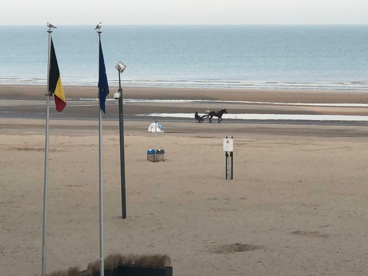 Residentie Albert-1, App.202, Zeelaan 214 De Panne Esterno foto